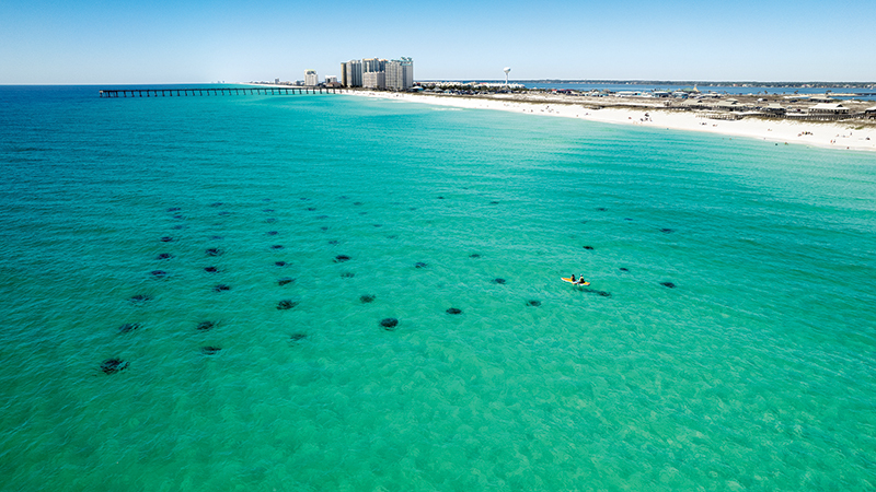 Navarre Beach Marine Sanctuary